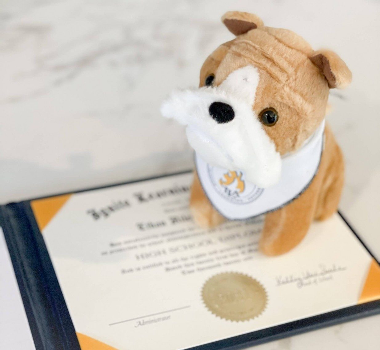 HS-Diploma-Signing_1235x1136a image HS-Diploma-Signing_1235x1136a.jpg